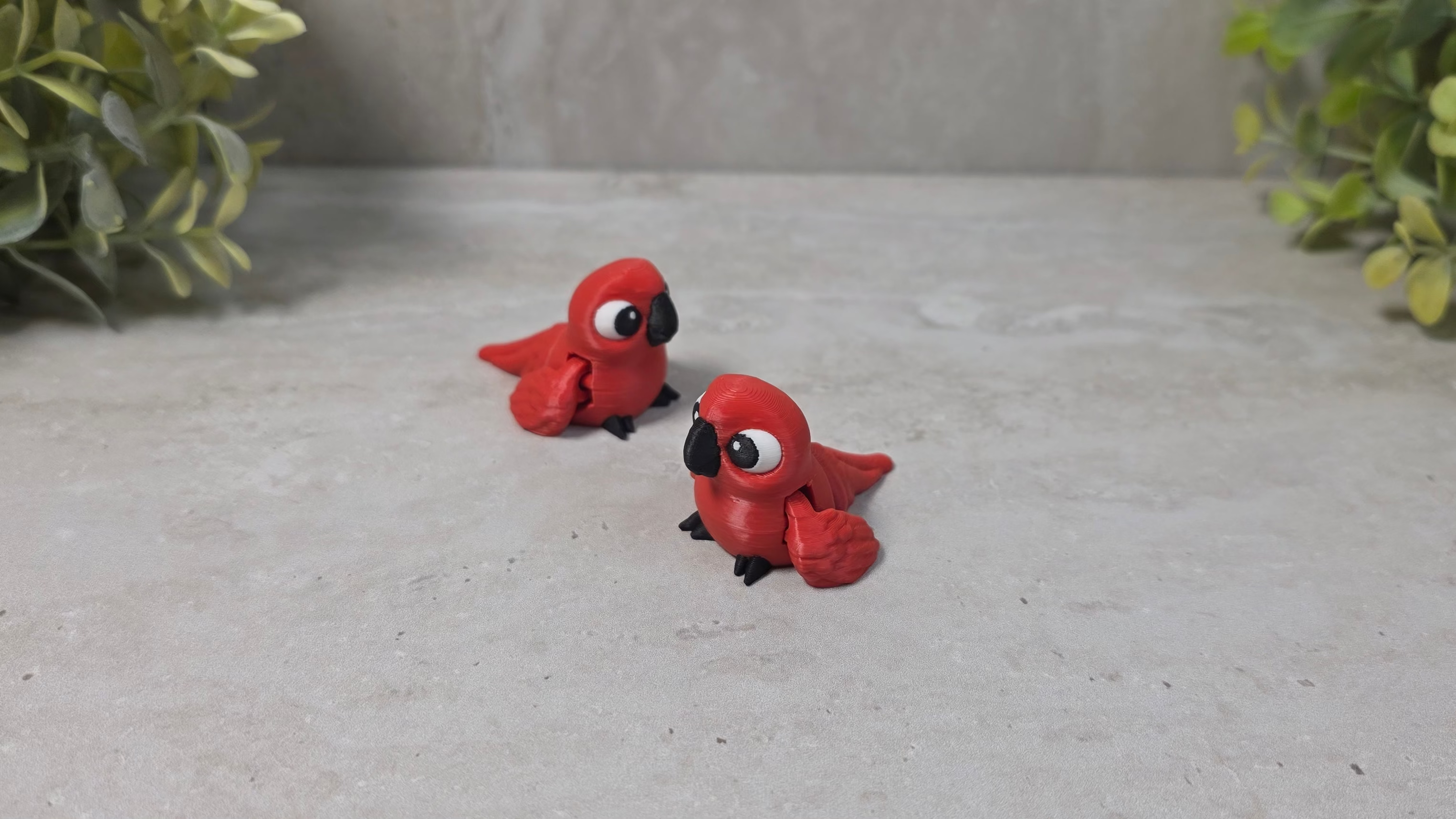 Backyard Birds Collection - Little Buddies