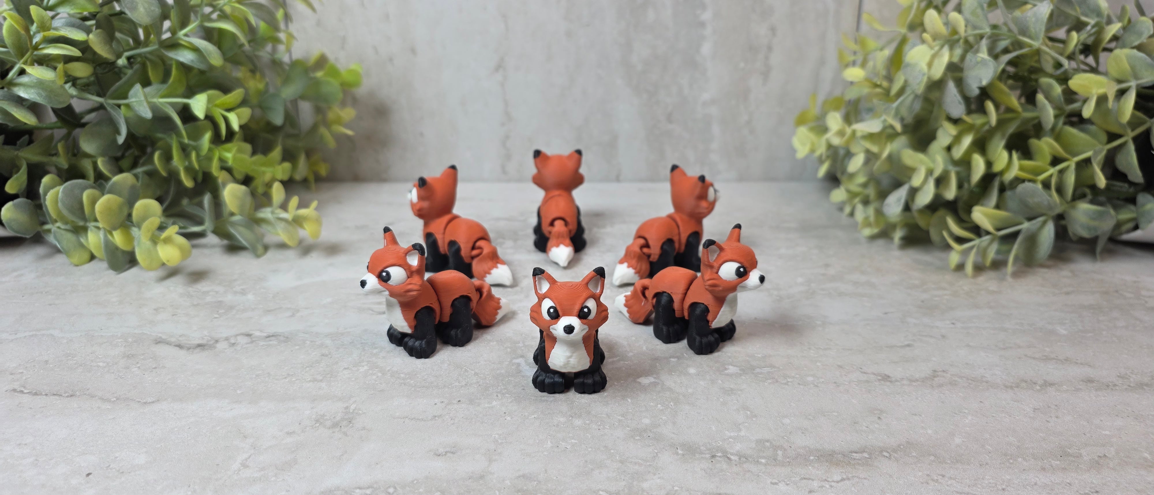 Fox