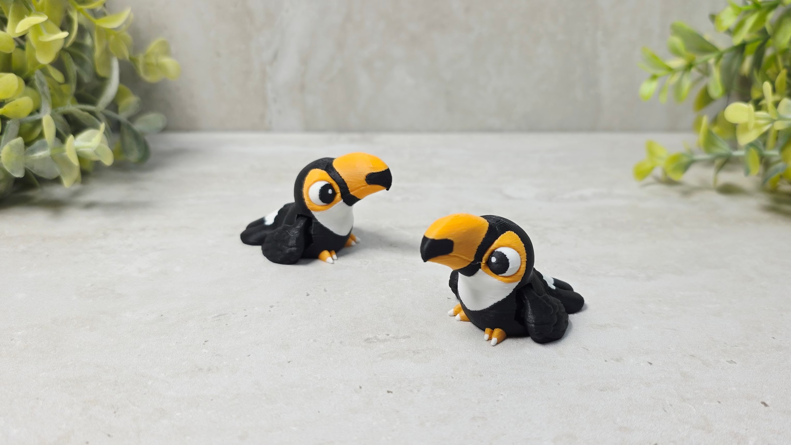 Toucan