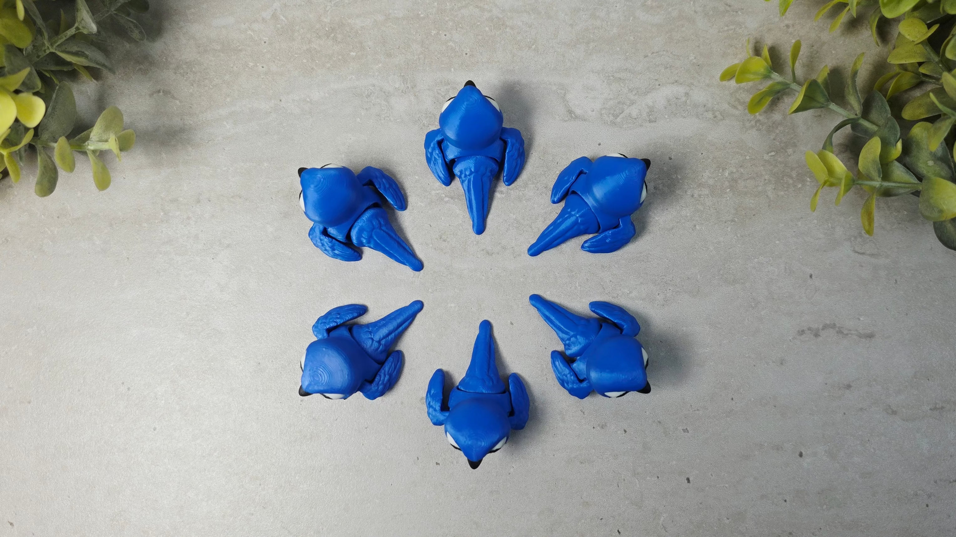 Hyacinth Macaw