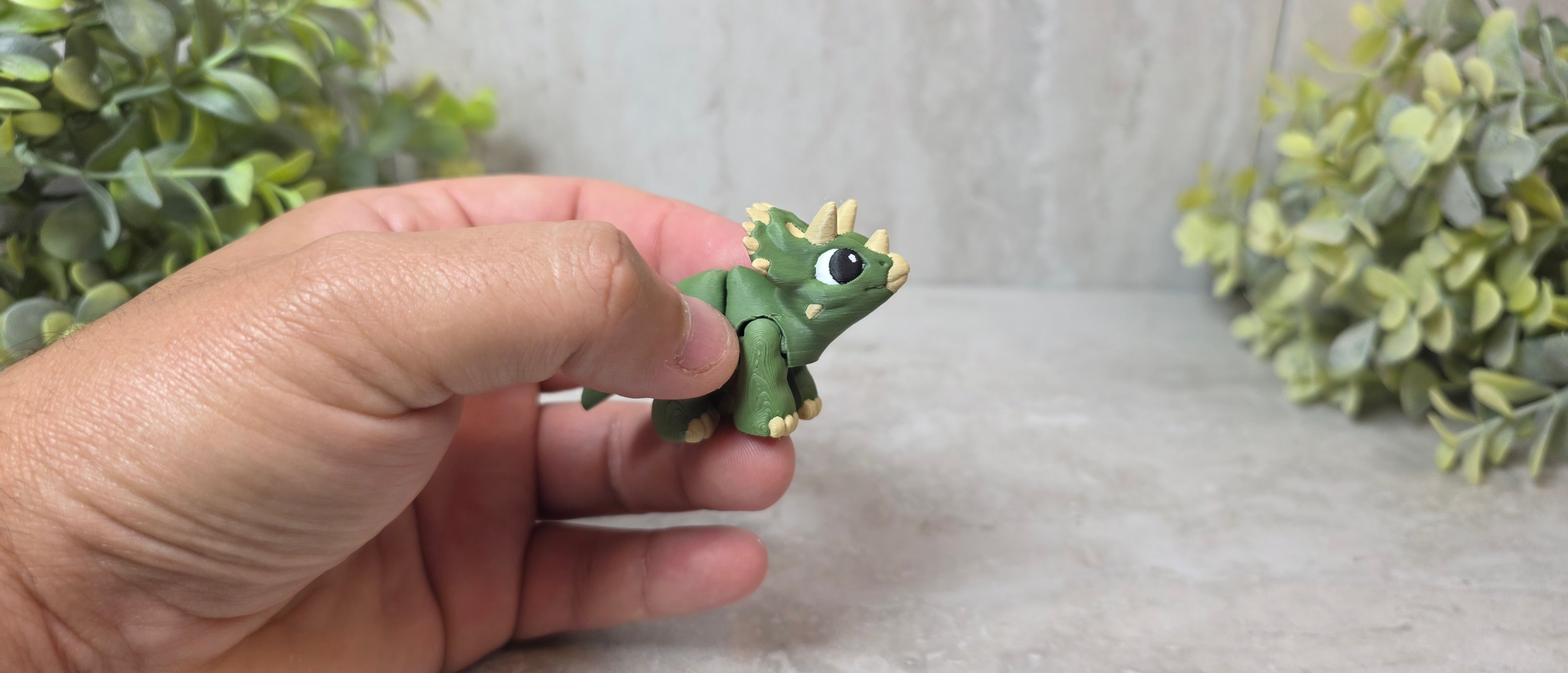 Triceratops