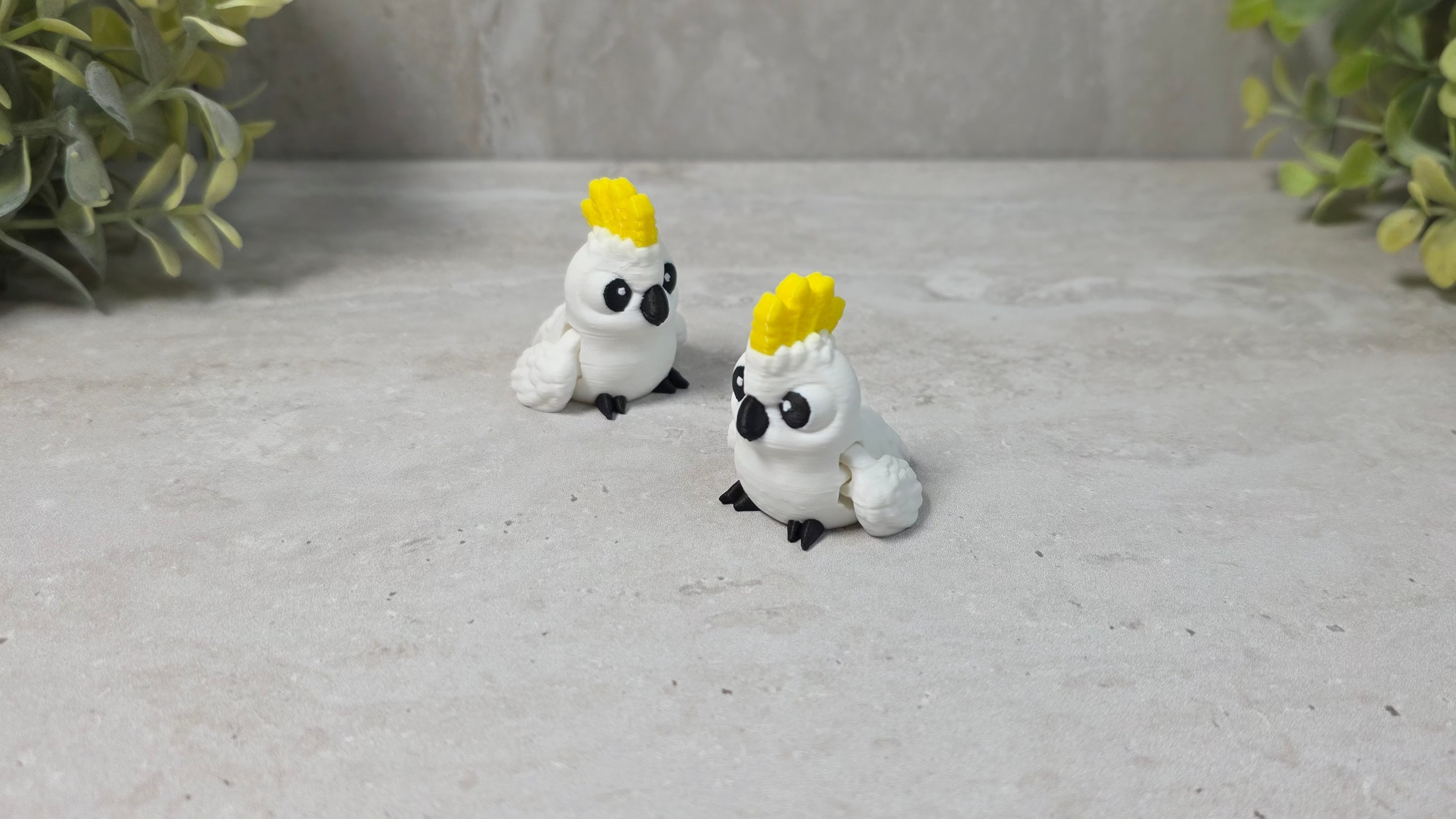 Backyard Birds Collection - Little Buddies