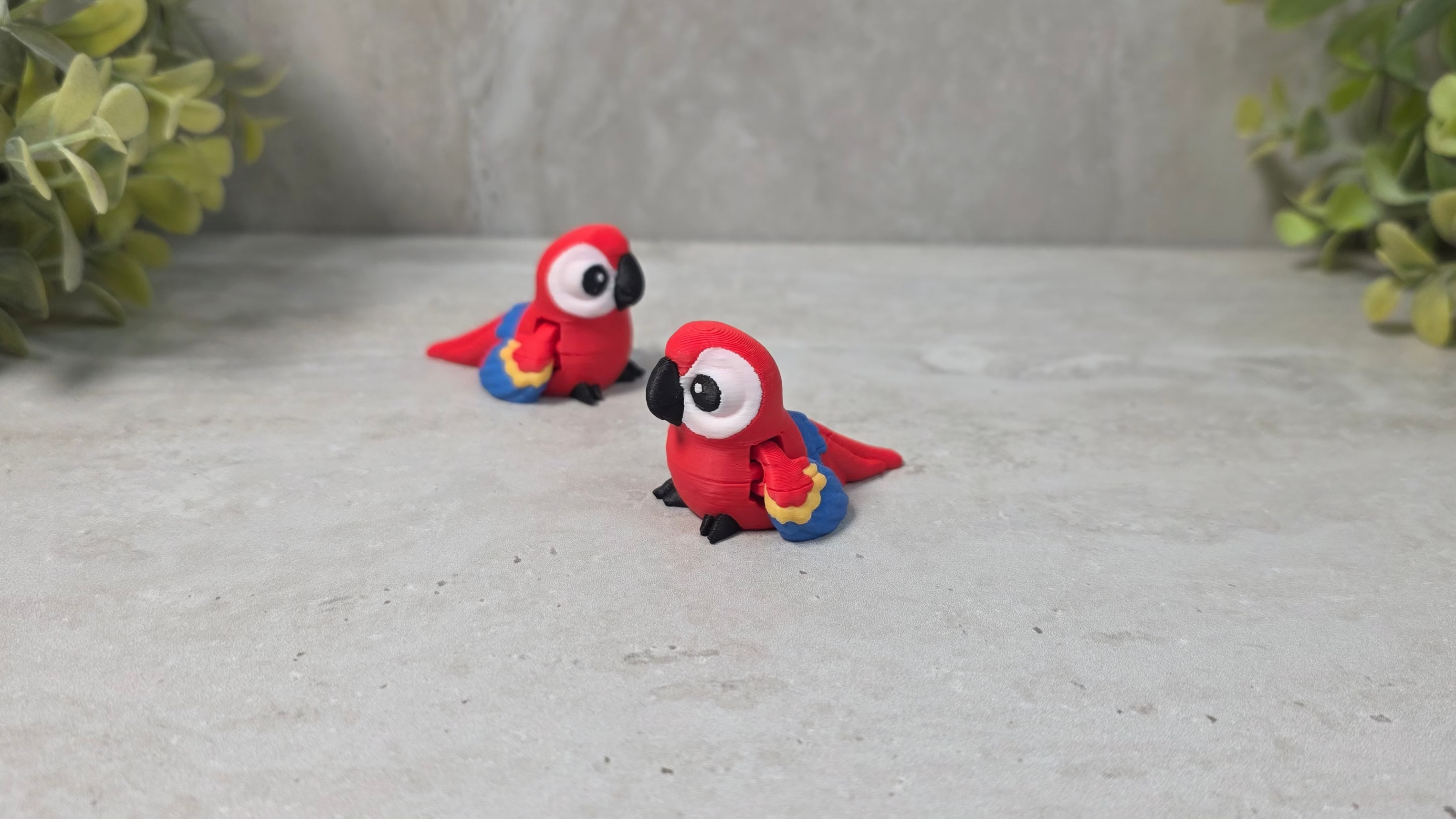 Backyard Birds Collection - Little Buddies