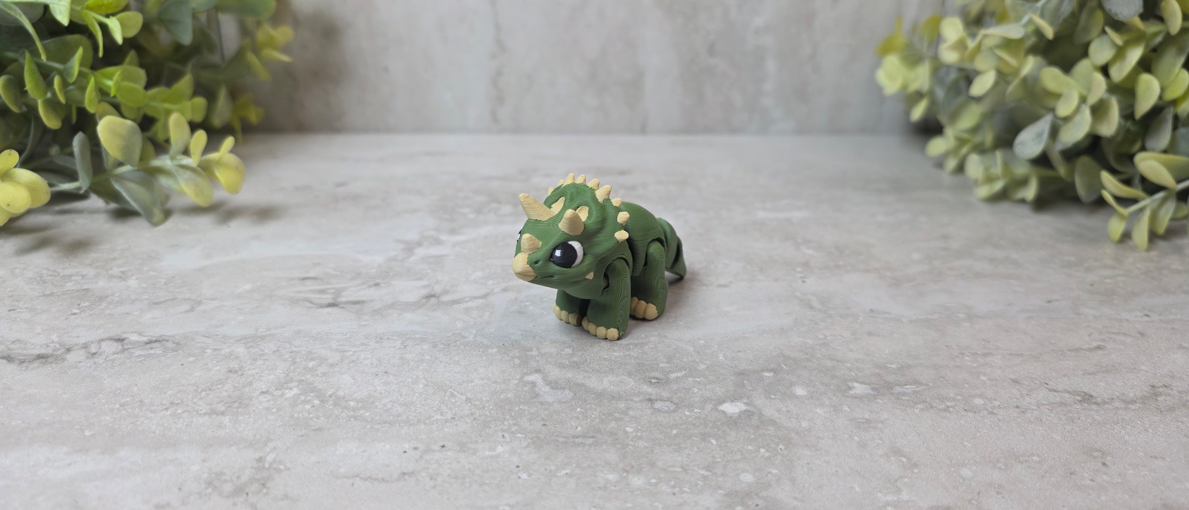 Triceratops