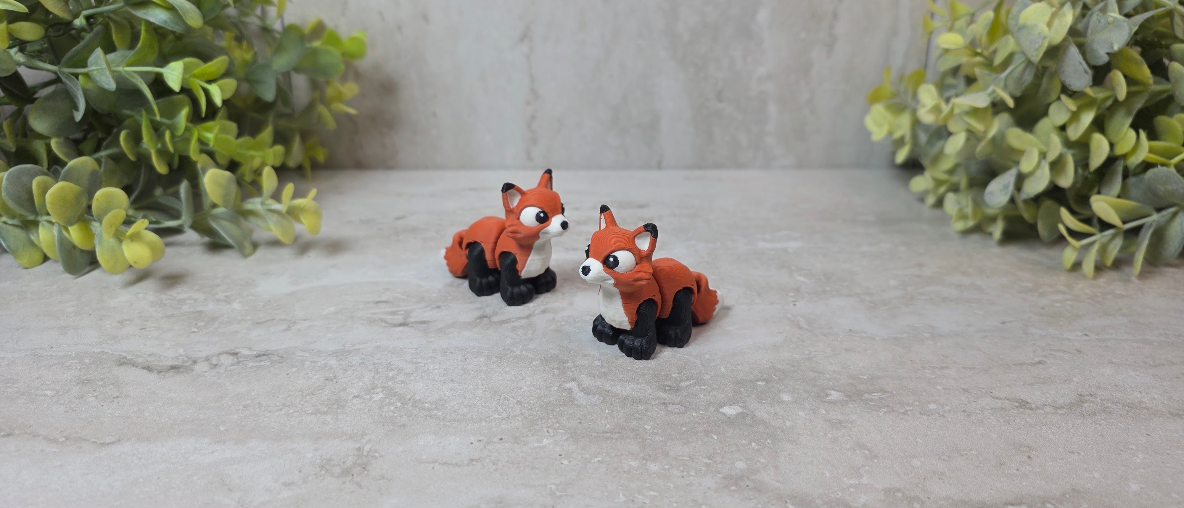 Fox