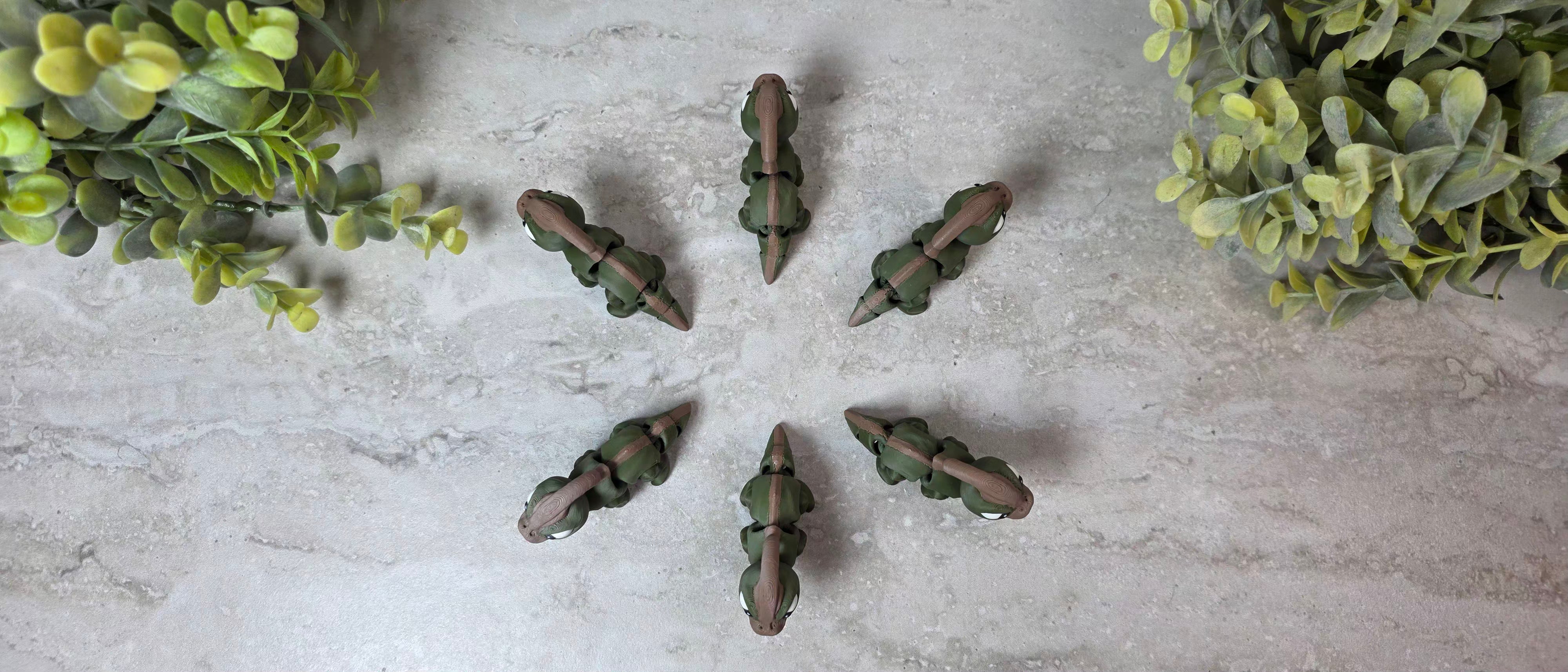 Paraurus