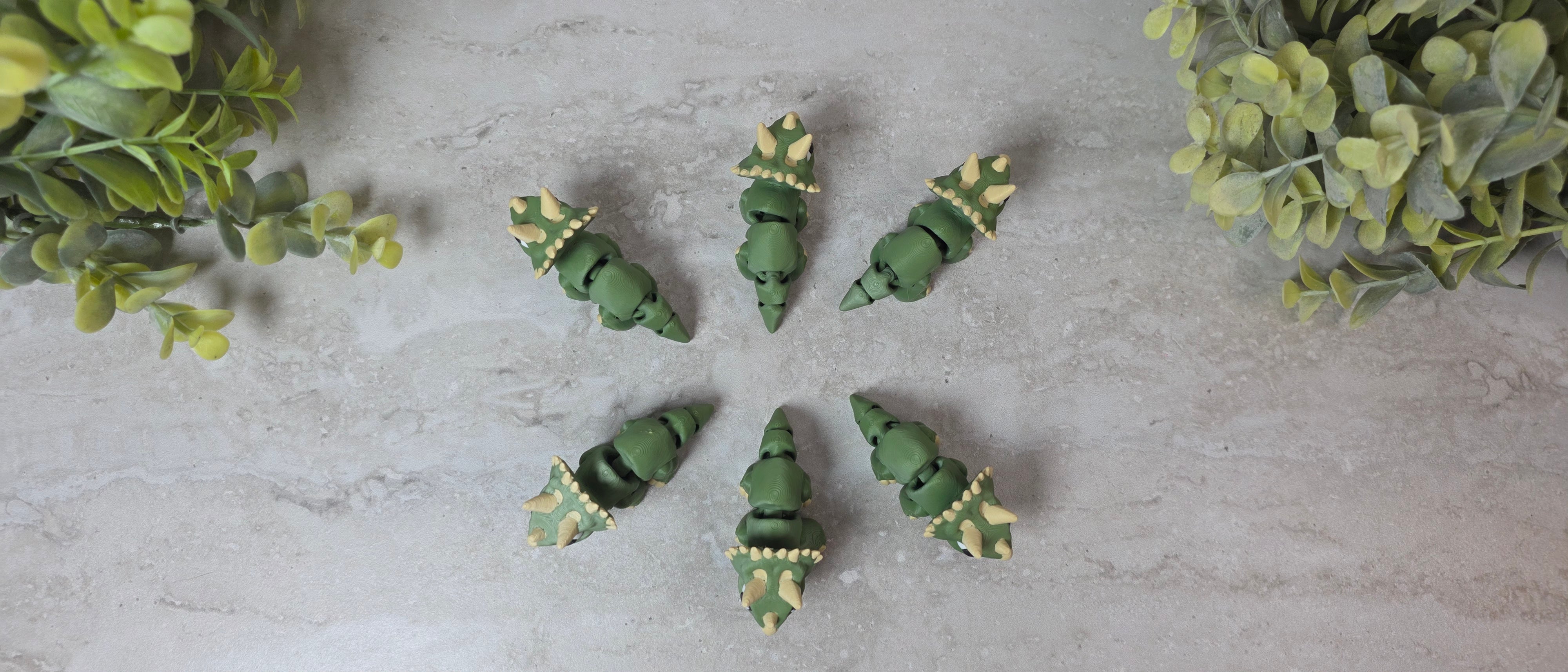 Triceratops