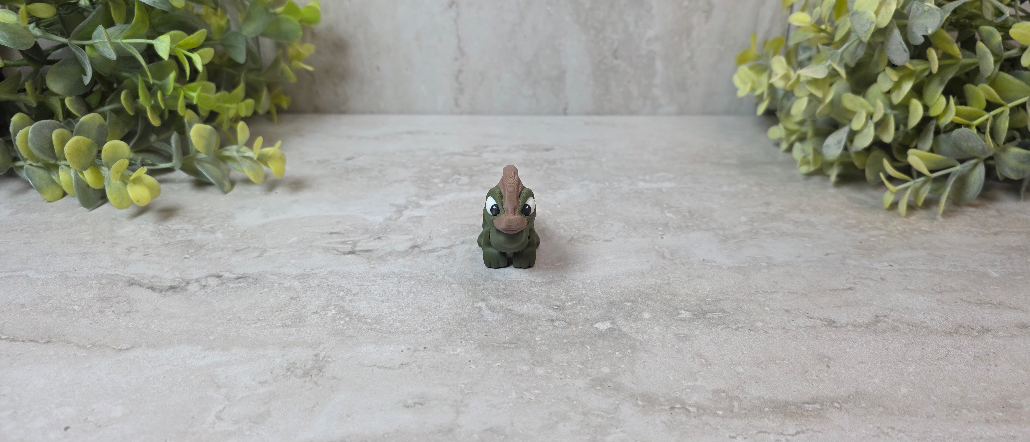 Paraurus