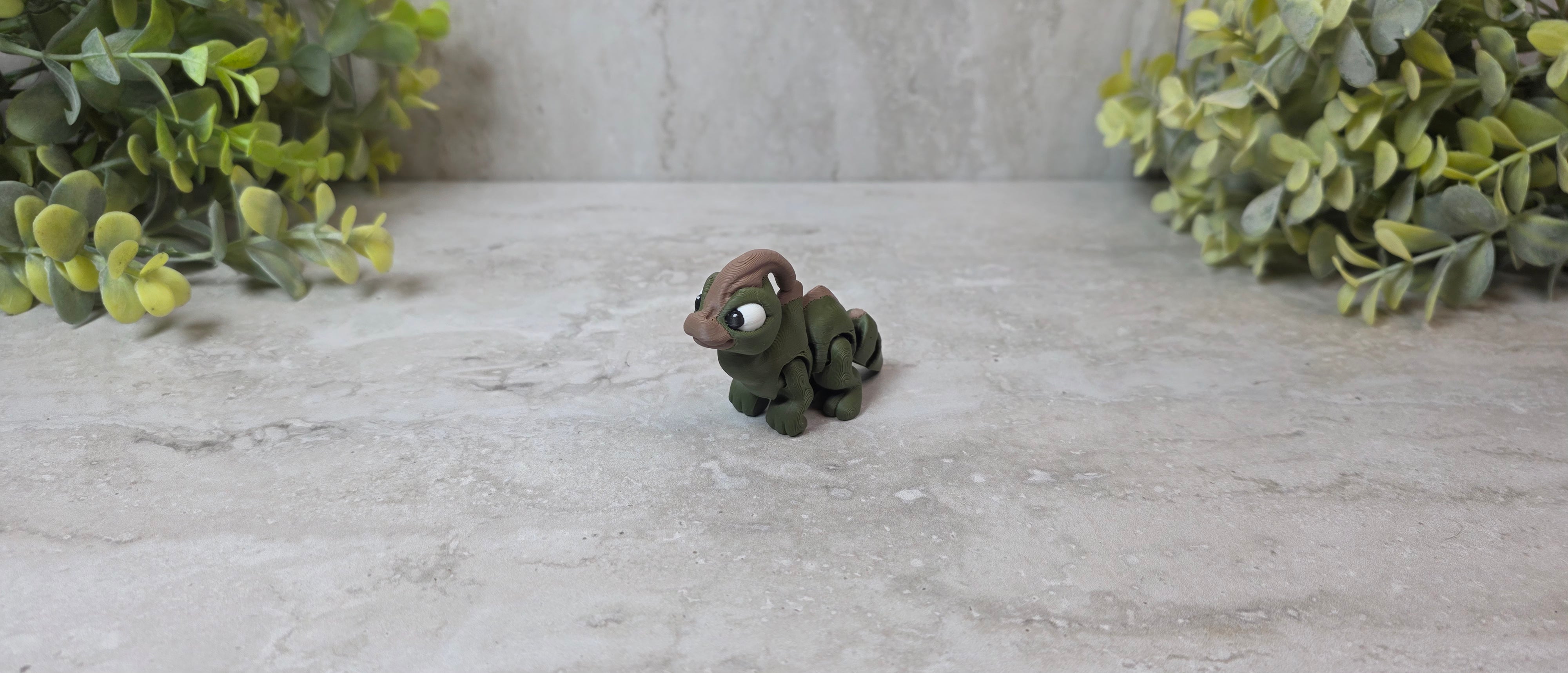 Paraurus